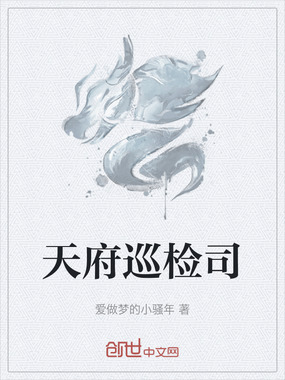 天府巡检司在线阅读