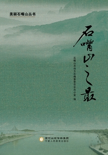 石嘴山之最