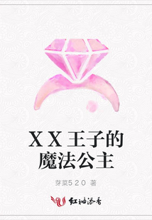 XX王子的魔法公主