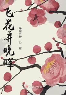 飞花弄晚晖