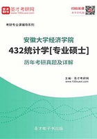 安徽大学经济学院432统计学[专业硕士]历年考研真题及详解