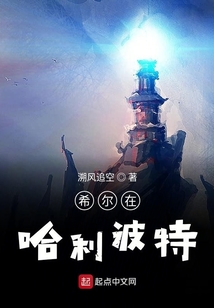 希尔在哈利波特 cover