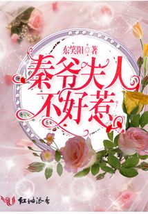 秦爺夫人不好惹