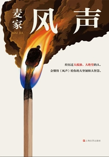 风声（茅盾文学奖得主麦家作品）