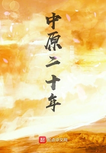 中原二十年