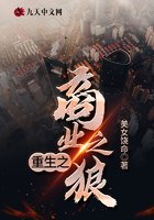 重生之商業(yè)之狼在線閱讀