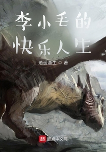 李小毛的英雄人生