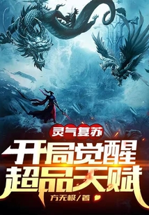 灵气复苏:开局觉醒超品天赋