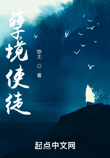 孽境使徒
