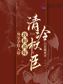 外室孕肚入府,我和離嫁清冷權臣