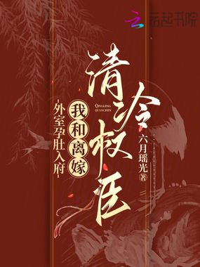 外室孕肚入府,我和离嫁清冷权臣在线阅读