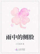雨中的侧脸在线阅读