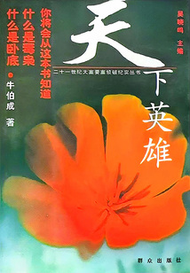 天下英雄