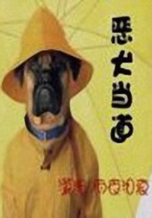 恶犬当道
