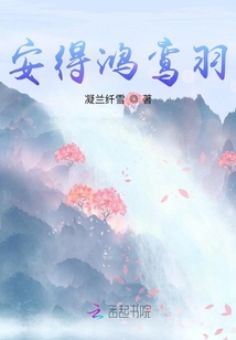 安得鴻鸞羽