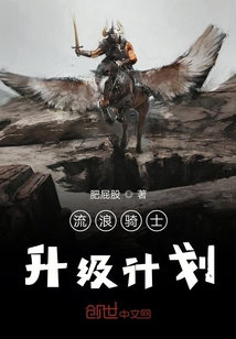 流浪騎士升級計劃