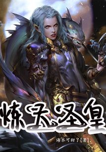 炼天圣皇 cover