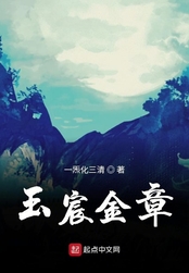 玉宸金章在线阅读