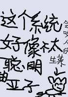 这个系统好像不太聪明的亚子在线阅读