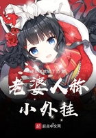 老婆人称小外挂