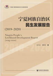 寧夏回族自治區民生發展報告（2019～2020）