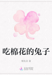 吃棉花的兔子