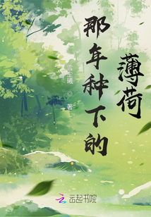 那年种下的薄荷