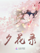 夕花錄在線閱讀