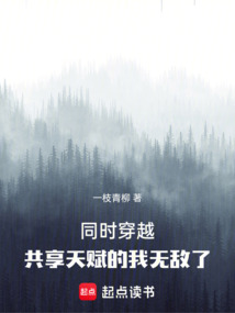 同时穿越：共享天赋的我无敌了（斗罗陆枫、仙逆陆枫）在线阅读
