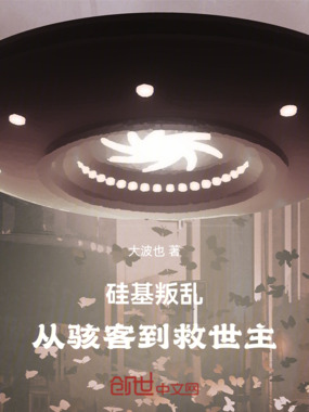 硅基叛乱：从骇客到救世主在线阅读