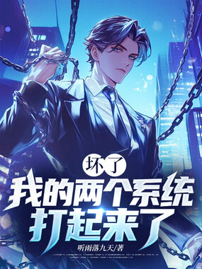 坏了，我的两个系统打起来了在线阅读