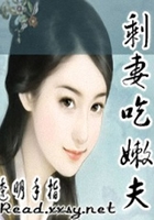 腹黑相公俏皮妻