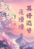 夜漫漫,其修远兮在线阅读