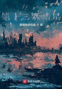第十三顆晴星