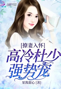 撩妻入懷：高冷杜少，強勢寵！