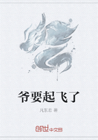 爺要起飛了在線閱讀