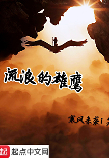 流浪的雄鷹