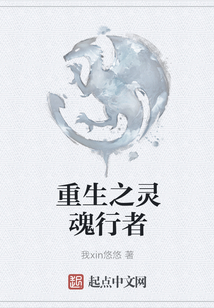 重生之靈魂行者