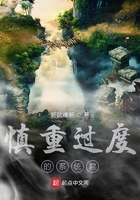 慎重過度的系統君在線閱讀