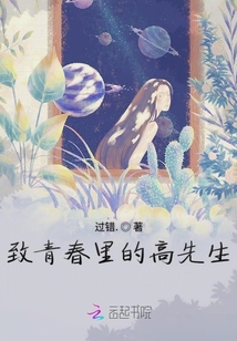 致青春里的高先生