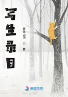 寫生錄目在線閱讀
