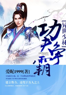 异世少林功夫争霸 cover