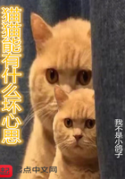 猫猫能有什么坏心思在线阅读