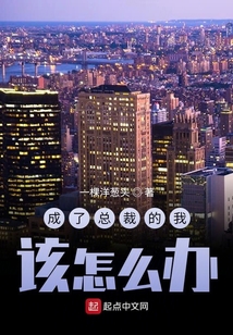 成了總裁的我該怎么辦