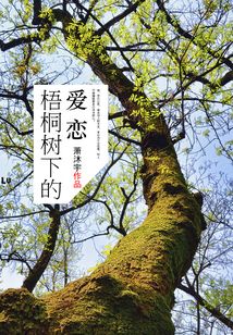 梧桐樹下的愛戀