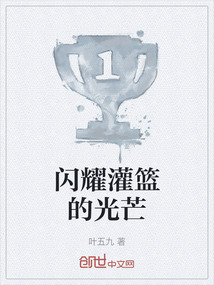 闪耀灌篮的光芒在线阅读