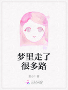 梦里走了很多路在线阅读