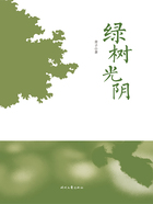 绿树光阴在线阅读