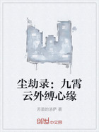 尘劫录：九霄云外缚心缘在线阅读