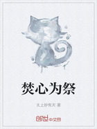 焚心为祭在线阅读